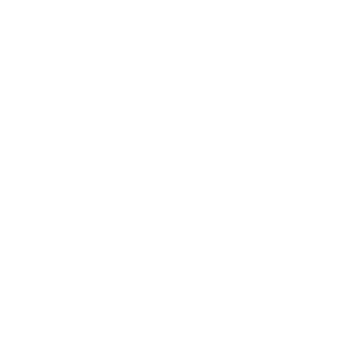 Enactus